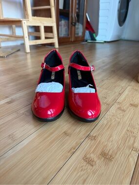 Dorothy Inspired - Red Mary Jane Shoes